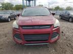 2013 Ford Escape Se for Sale in Chicago Heights, IL - Rear End