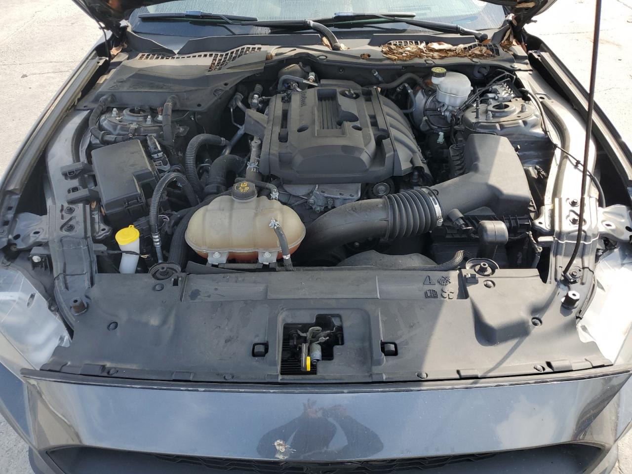 1FA6P8TH5K5167794 FORD ALL Models 2019