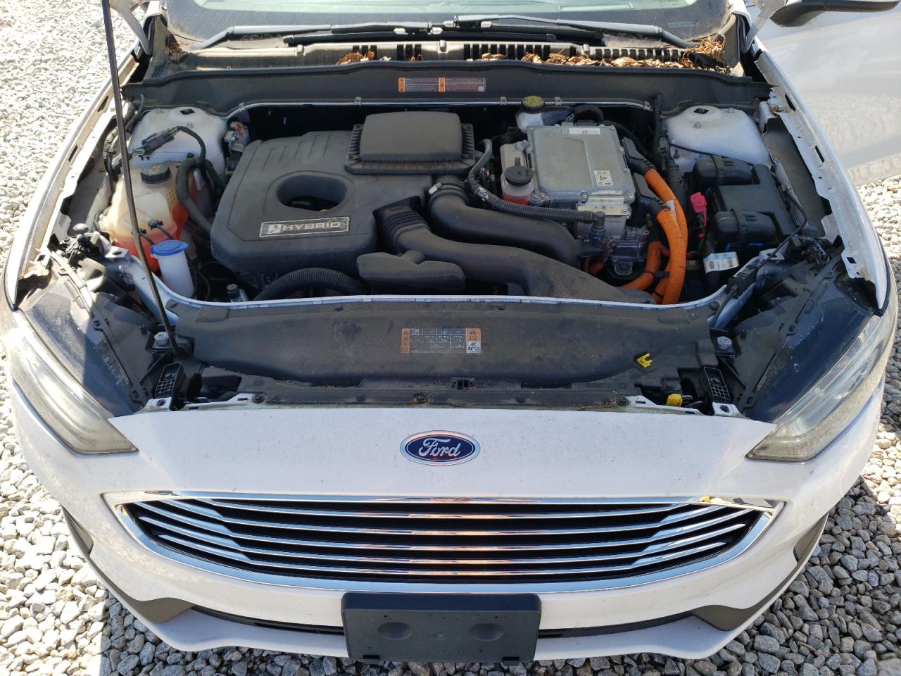 2019 Ford Fusion Se VIN: 3FA6P0LU8KR263964 Lot: 54039585