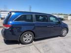 2014 Honda Odyssey Exl zu verkaufen in Littleton, CO - Hail