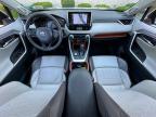 2019 TOYOTA RAV4 ADVENTURE for sale at Copart MA - NORTH BOSTON