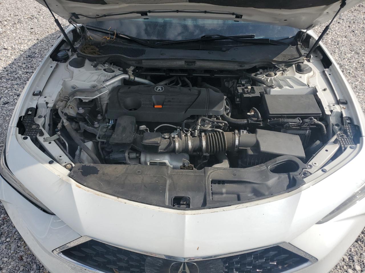 2021 Acura Tlx Technology VIN: 19UUB5F46MA010343 Lot: 58244295