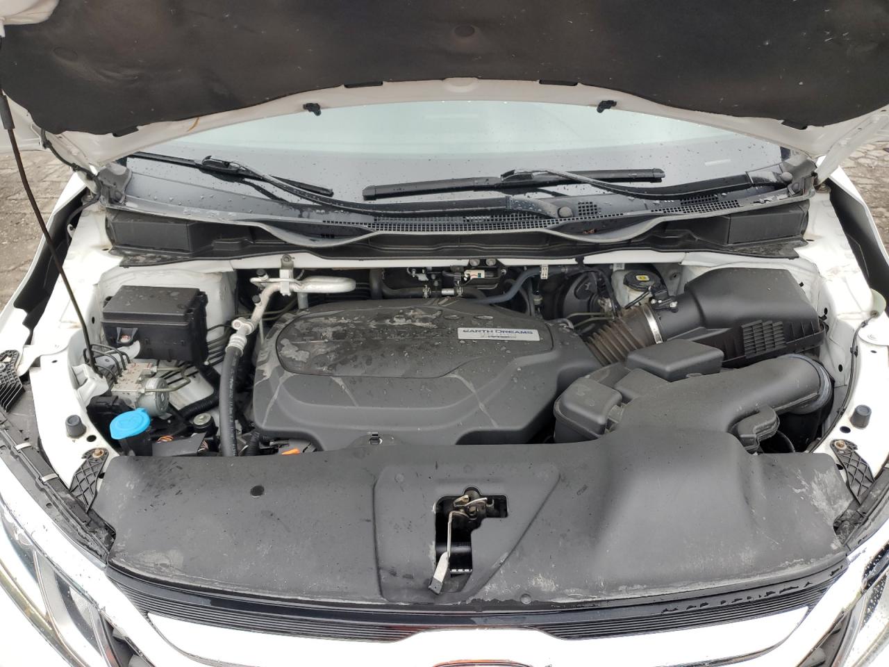 5FNRL6H71LB074732 HONDA All Models 2020