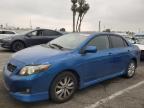 2010 Toyota Corolla Base for Sale in Van Nuys, CA - Side