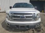 2013 Ford F150 Supercrew for Sale in Windsor, NJ - Front End