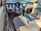 Grand Prairie, TX에서 판매 중인 2006 Ford Mustang  - Side