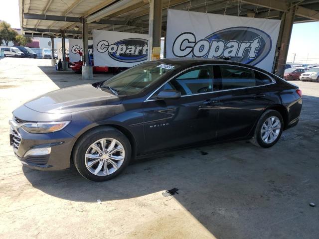  CHEVROLET MALIBU 2023 Gray