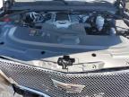 2016 Cadillac Escalade Premium за продажба в Dunn, NC - Front End