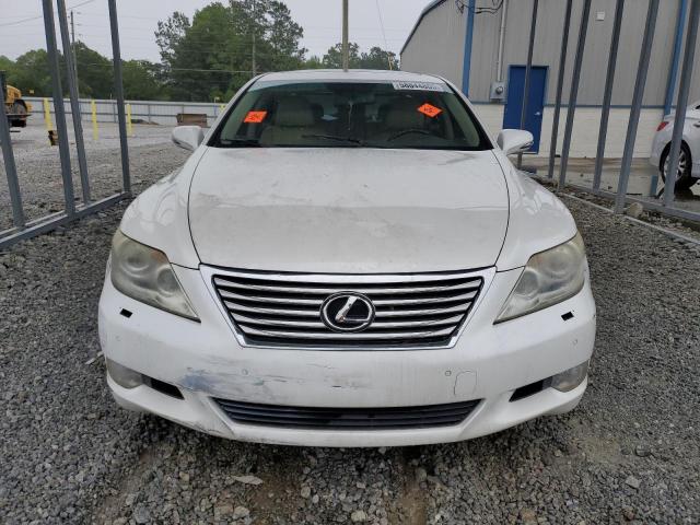 LEXUS LS460 2012 Белы