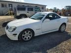 2001 Mercedes-Benz Slk 230 Kompressor de vânzare în Kapolei, HI - Front End