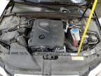 2011 Audi A4 Premium Plus на продаже в Hampton, VA - Normal Wear