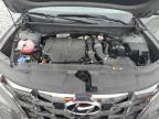 2024 Hyundai Santa Cruz Limited na sprzedaż w Arcadia, FL - Side