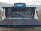 2009 FORD F150  à vendre chez Copart AB - EDMONTON
