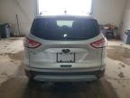 2014 Ford Escape Se იყიდება Lexington-ში, KY - Hail