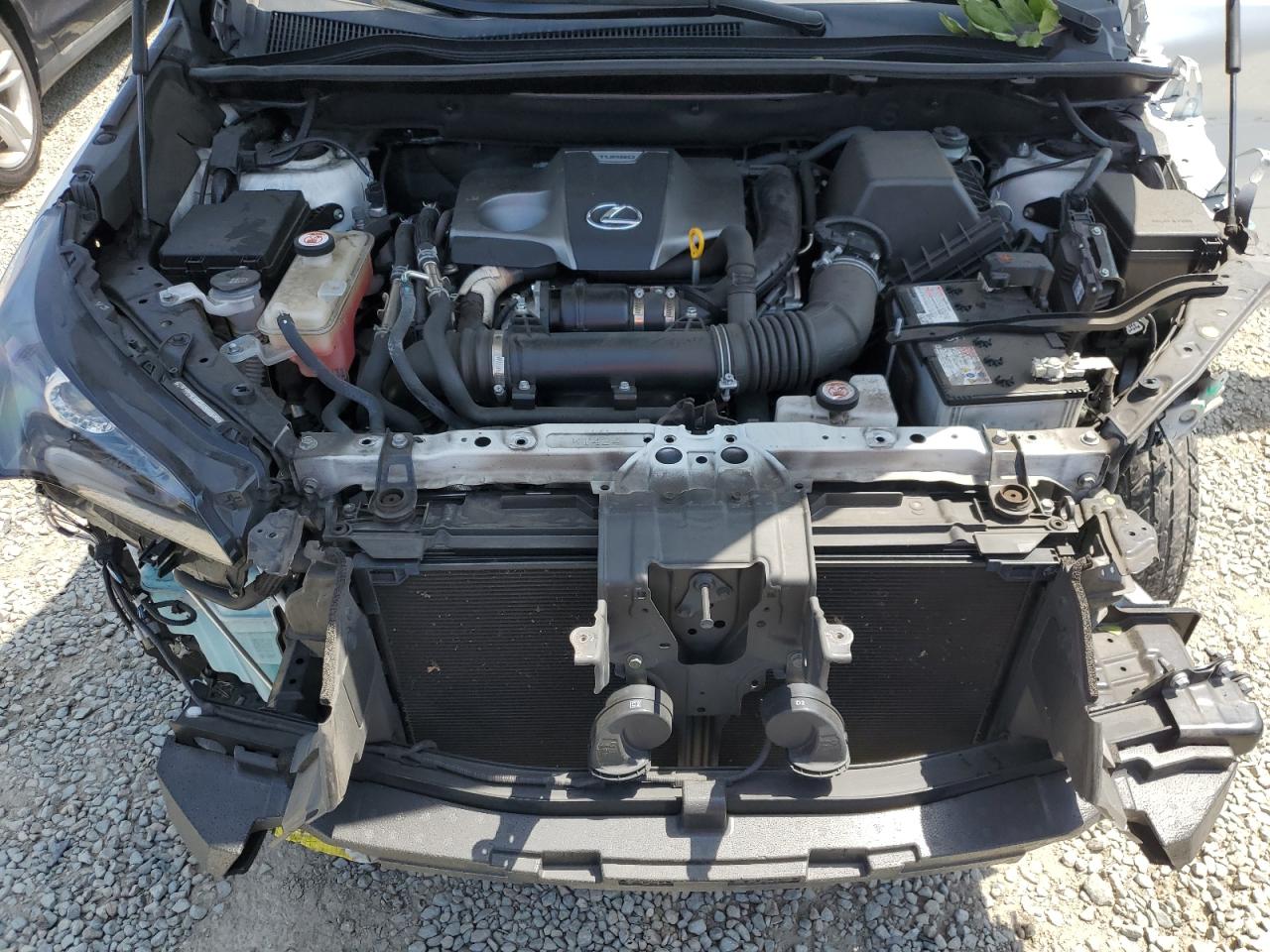 2020 Lexus Nx 300 VIN: JTJDARBZ9L5012781 Lot: 59105205
