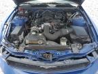 2006 Ford Mustang  for Sale in Arcadia, FL - Front End