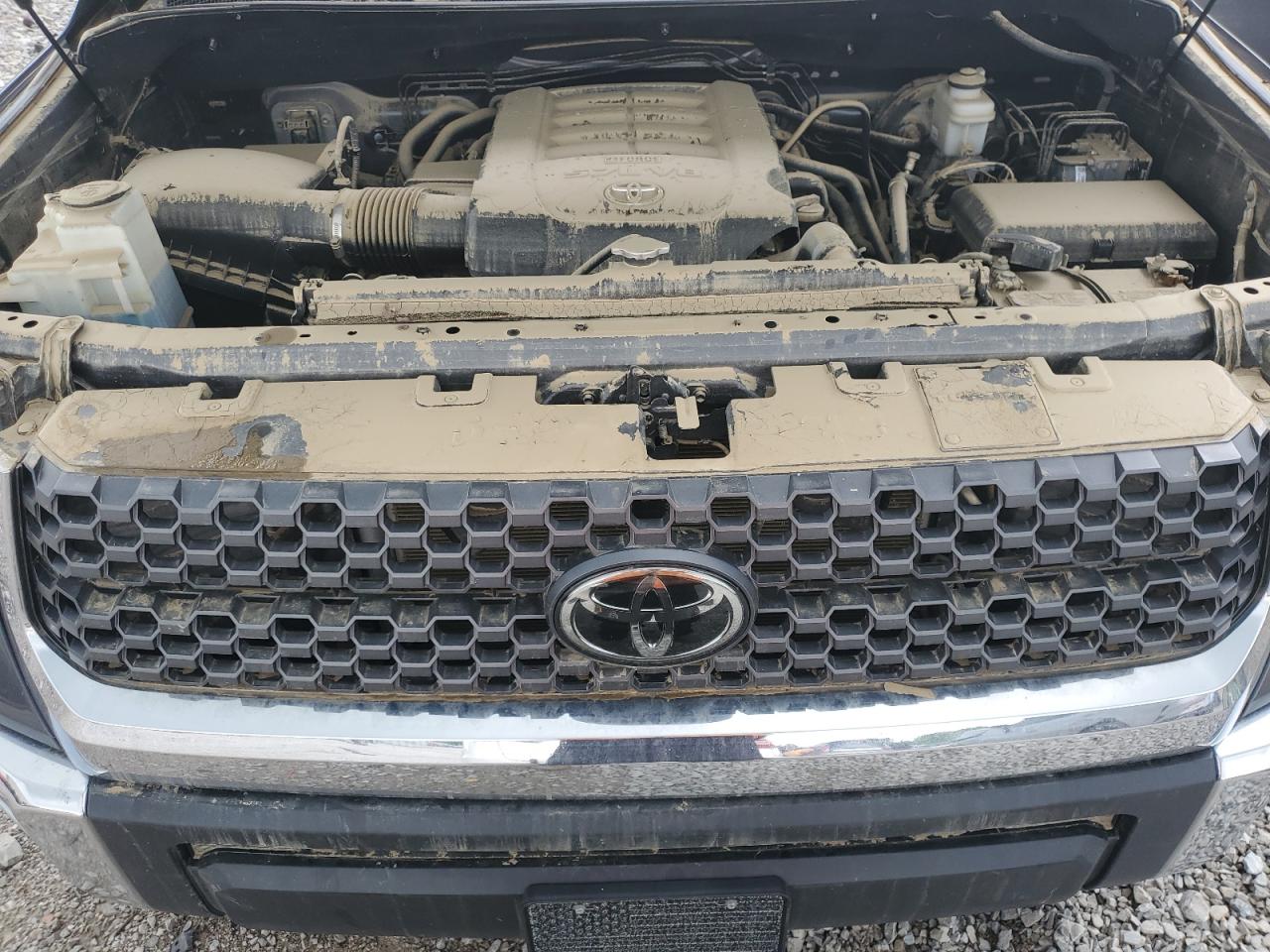 2020 Toyota Tundra Crewmax Sr5 VIN: 5TFDY5F10LX923419 Lot: 55456855