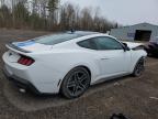 2024 FORD MUSTANG  for sale at Copart ON - COOKSTOWN