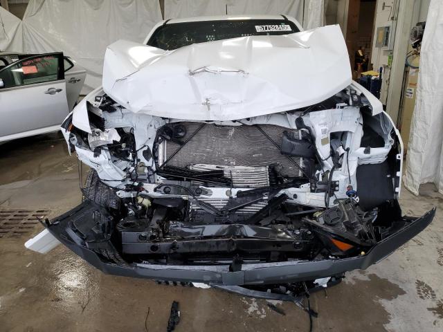  CHEVROLET COLORADO 2023 White