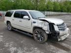 2011 Cadillac Escalade Esv Platinum   for Sale in Ellwood City, PA - Front End