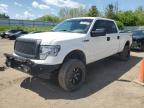 2013 Ford F150 Supercrew for Sale in Davison, MI - Rear End