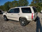 Houston, TX에서 판매 중인 2008 Cadillac Escalade Luxury - Rear End