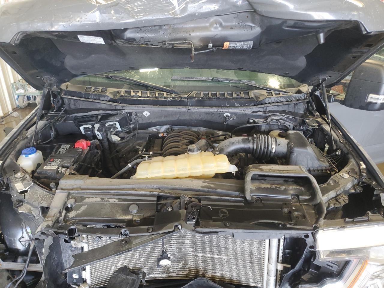 1FTFW1E58LFC49800 FORD F-150 2020