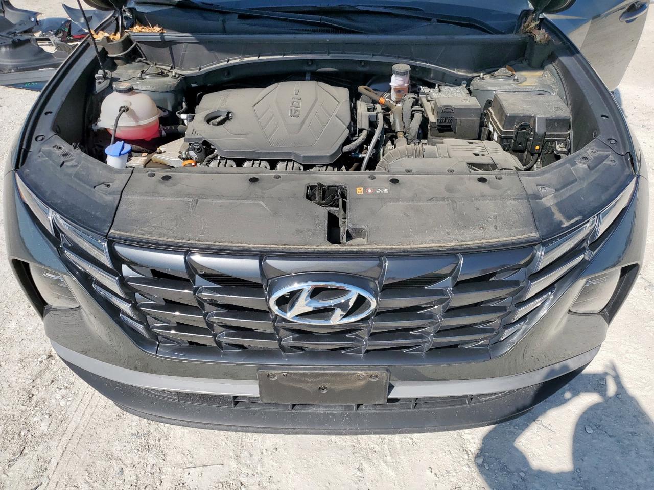 2023 Hyundai Tucson Sel VIN: 5NMJB3AE8PH232592 Lot: 56755835