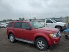 2011 Ford Escape Xlt იყიდება Des Moines-ში, IA - Rear End