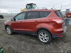2015 Ford Escape Titanium за продажба в Airway Heights, WA - Rear End