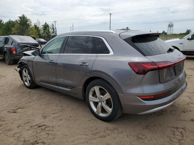  AUDI E-TRON 2019 Сірий