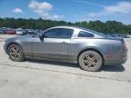 2011 Ford Mustang  იყიდება Gaston-ში, SC - Rear End