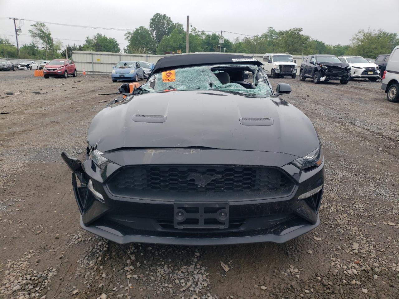 1FATP8UHXL5180169 FORD ALL Models 2020