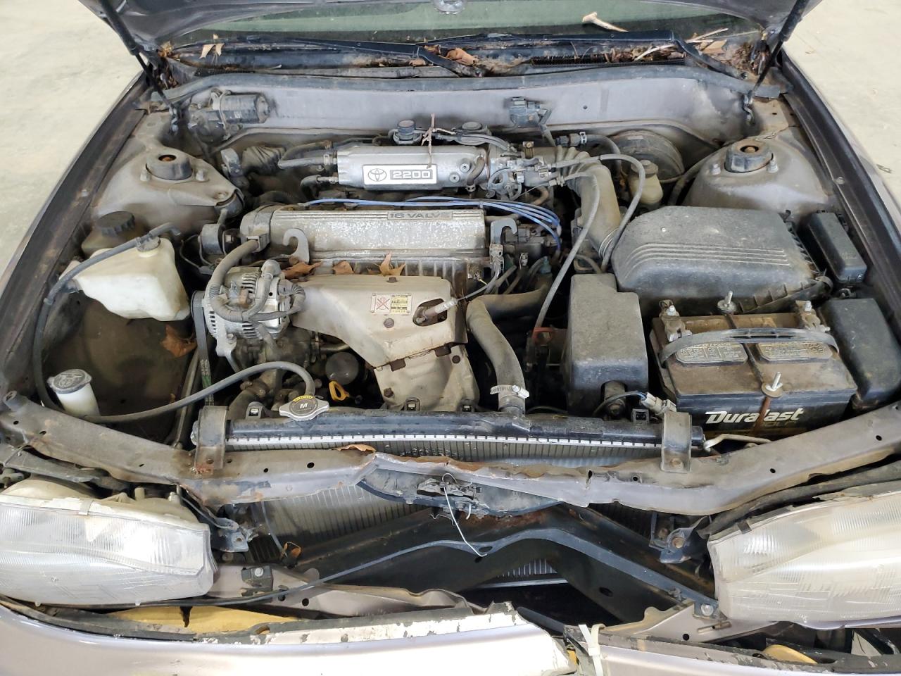1994 Toyota Camry Le VIN: 4T1SK12E8RU407907 Lot: 55048725