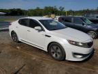 2013 Kia Optima Hybrid de vânzare în Jacksonville, FL - Mechanical