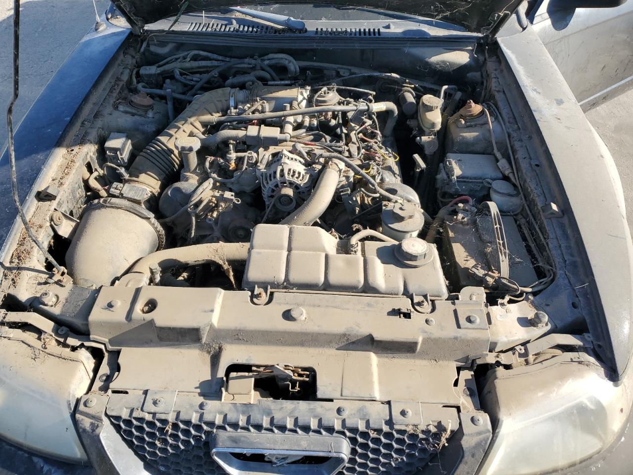 1999 Ford Mustang Gt VIN: 1FAFP42X3XF182250 Lot: 55876905