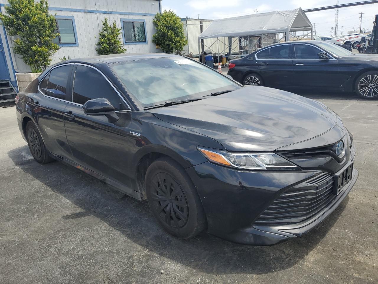 4T1B31HK9KU517106 TOYOTA CAMRY 2019