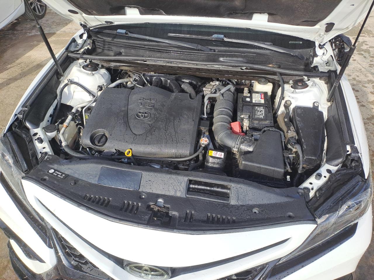 4T1NZ1AK5LU045400 - 2010 Toyota camry - #58629545