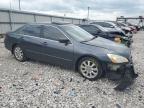 2007 Honda Accord Ex იყიდება Lawrenceburg-ში, KY - Front End