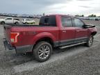 2016 Ford F150 Supercrew for Sale in Earlington, KY - Front End