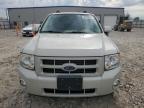 2008 Ford Escape Limited for Sale in Appleton, WI - Mechanical