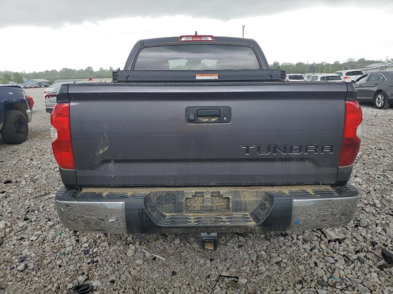 2020 Toyota Tundra Crewmax Sr5 VIN: 5TFDY5F10LX923419 Lot: 55456855