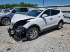 2018 Hyundai Santa Fe Sport  продається в Lawrenceburg, KY - Front End
