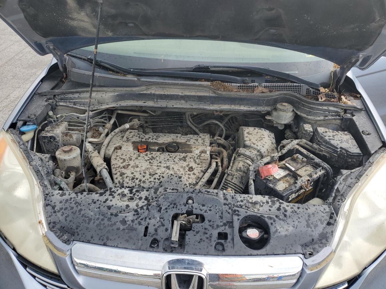 2008 Honda Cr-V Exl VIN: JHLRE48708C020103 Lot: 56073855