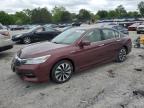 2017 Honda Accord Touring Hybrid for Sale in Madisonville, TN - Front End