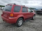 2007 Ford Escape Limited en Venta en Memphis, TN - Minor Dent/Scratches