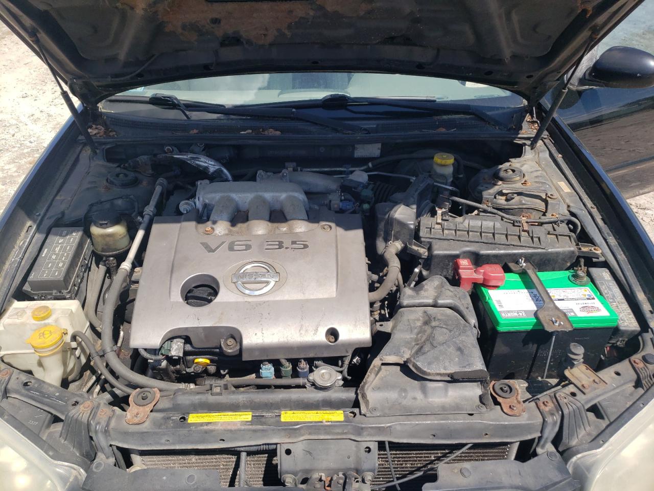 2002 Nissan Maxima Gle VIN: JN1DA31D42T453351 Lot: 56109205