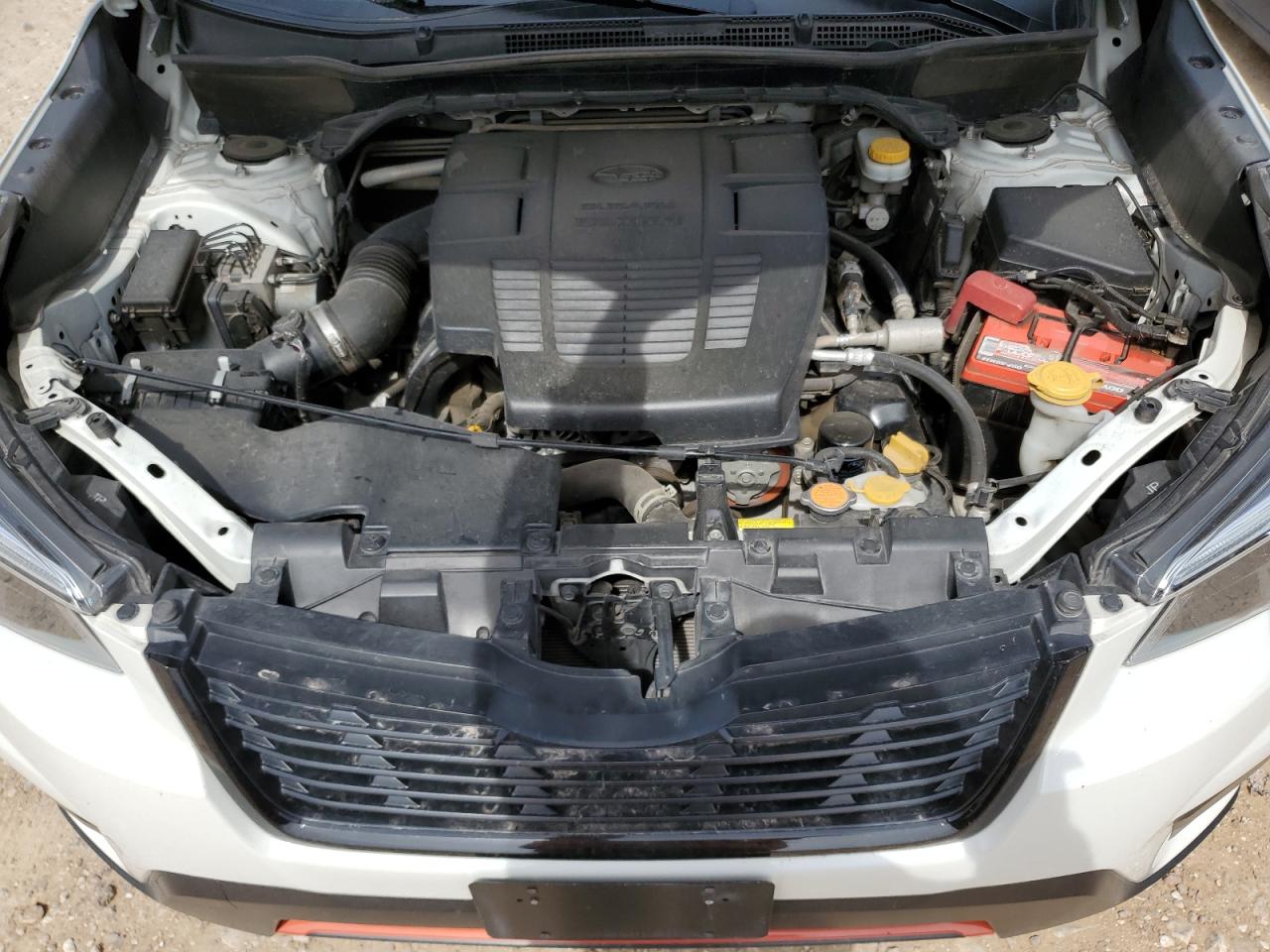 2021 Subaru Forester Sport VIN: JF2SKARC4MH542491 Lot: 56590365