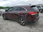 2016 Kia Sorento Ex للبيع في Memphis، TN - Rear End