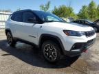 Woodhaven, MI에서 판매 중인 2025 Jeep Compass Trailhawk - Water/Flood